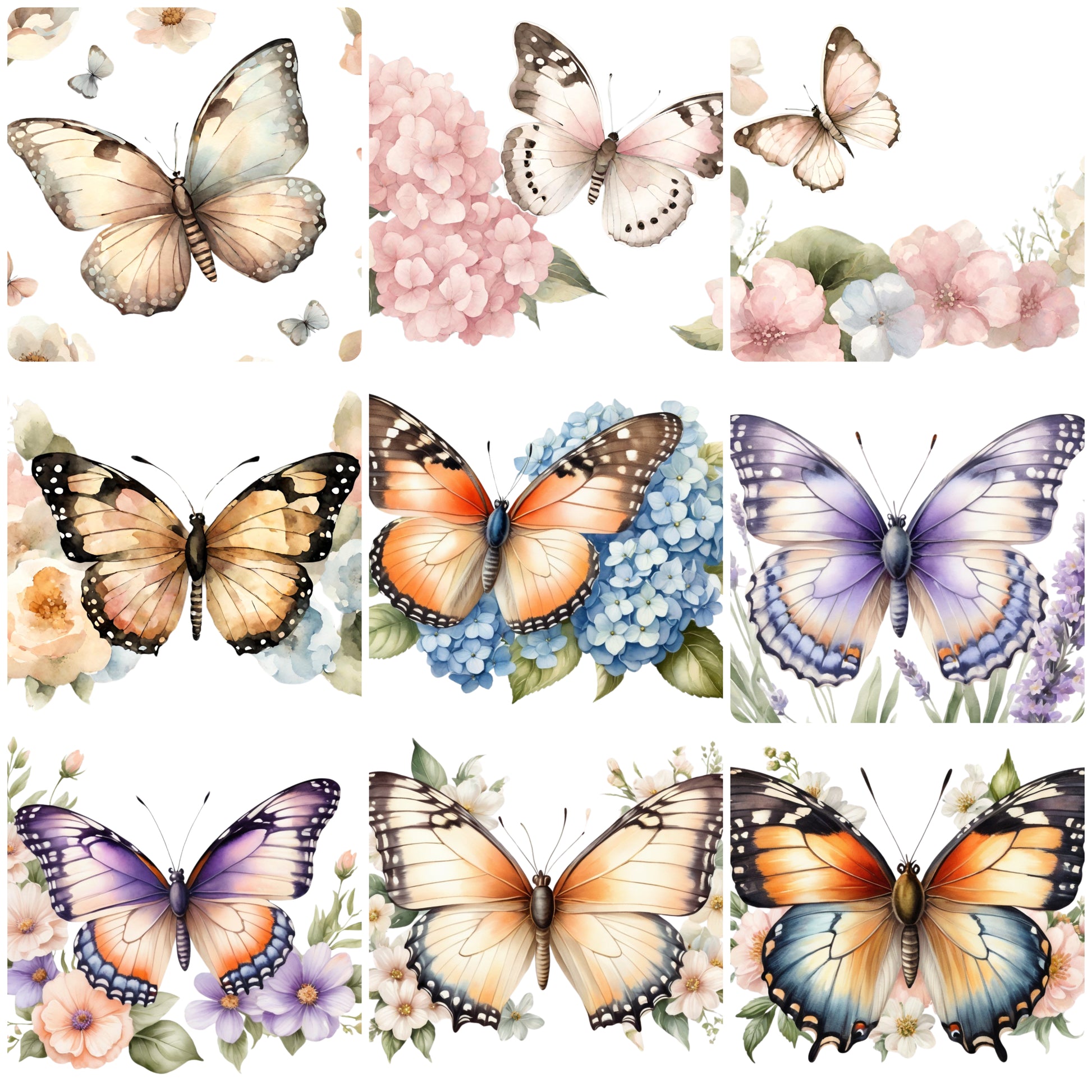 Beautiful Watercolor Butterfly & Flowers Clipart with Commercial Use