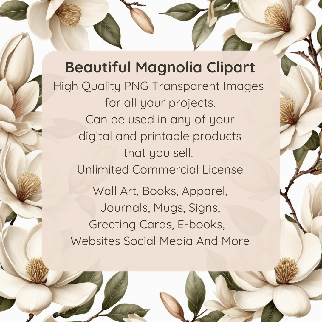 High Quality Magnolia Flowers Clipart with Commercial Use