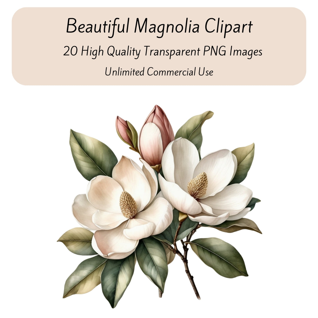 Magnolia Flower Clipart, Transparent Flower Clipart, High Quality PNG Images, Commercial Use Clipart, Paper Crafts, Junk Journal Images