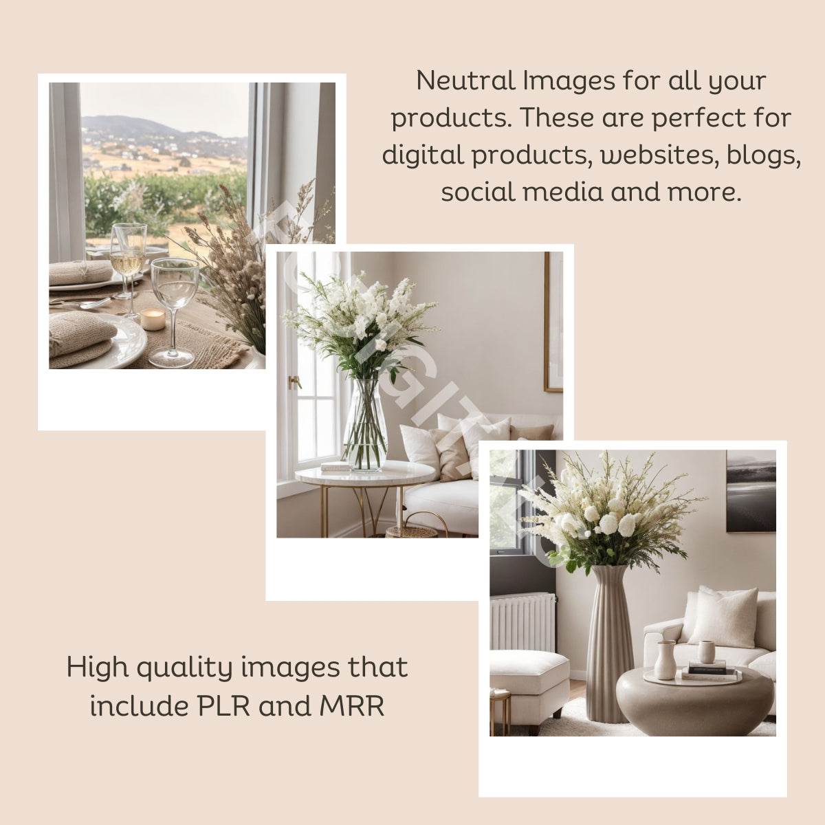 Neutral Stock Photos, Master Resell Rights, Neutral Aesthetic Images, Stock Photography Bundle. PLR and MRR Photos, French Country Stock Images